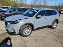 2024 Honda Cr-v exl for sale in Marlboro, NY