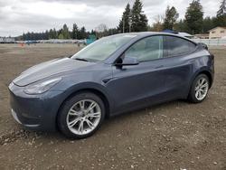 Tesla salvage cars for sale: 2022 Tesla Model y