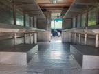 2020 Freightliner Chassis M Line WALK-IN Van