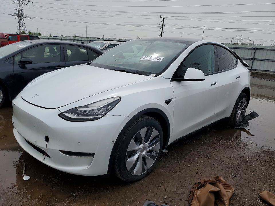 2022 Tesla Model y