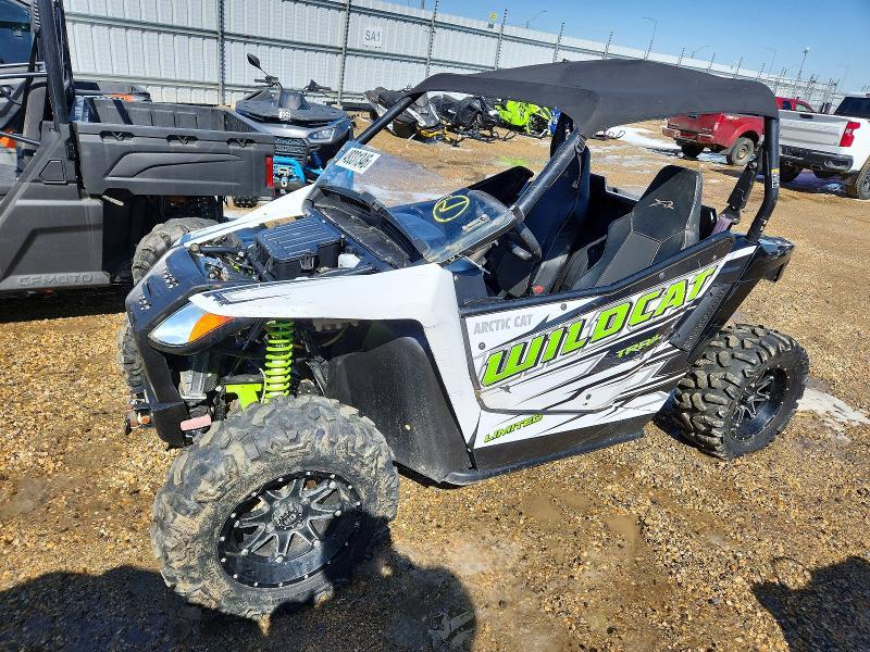 2017 Arctic Cat 2017 Arctic Cat Wildcat-Dune Buggy