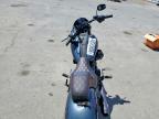 2025 Harley-Davidson Fxlrs