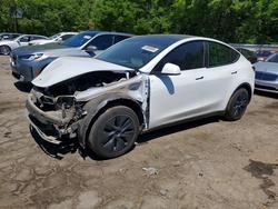 Vehiculos salvage en venta de Copart Austell, GA: 2024 Tesla Model y