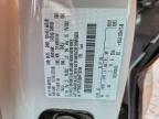 2025 Ford F150 STX