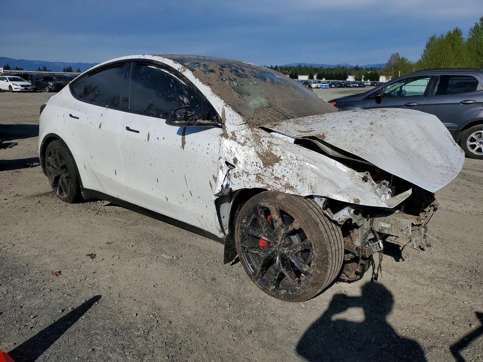 2026 Tesla Model y