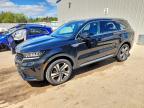 2023 KIA Sorento ex
