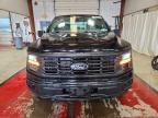 2024 Ford F150 STX