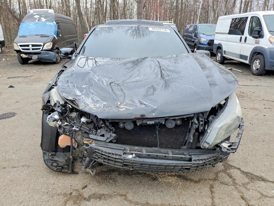 2014 Honda Accord exl