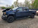 2021 Chevrolet Silverado K1500 Trail Boss Custom