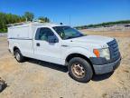 2010 Ford F150