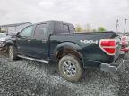 2013 Ford 1/2 TON