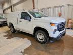2023 Chevrolet Silverado C1500