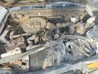 1989 Toyota Pickup Base