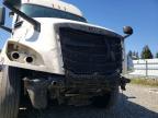 2021 Freigliner Cascadia 126