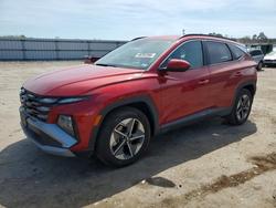 2025 Hyundai Tucson sel for sale in Fredericksburg, VA