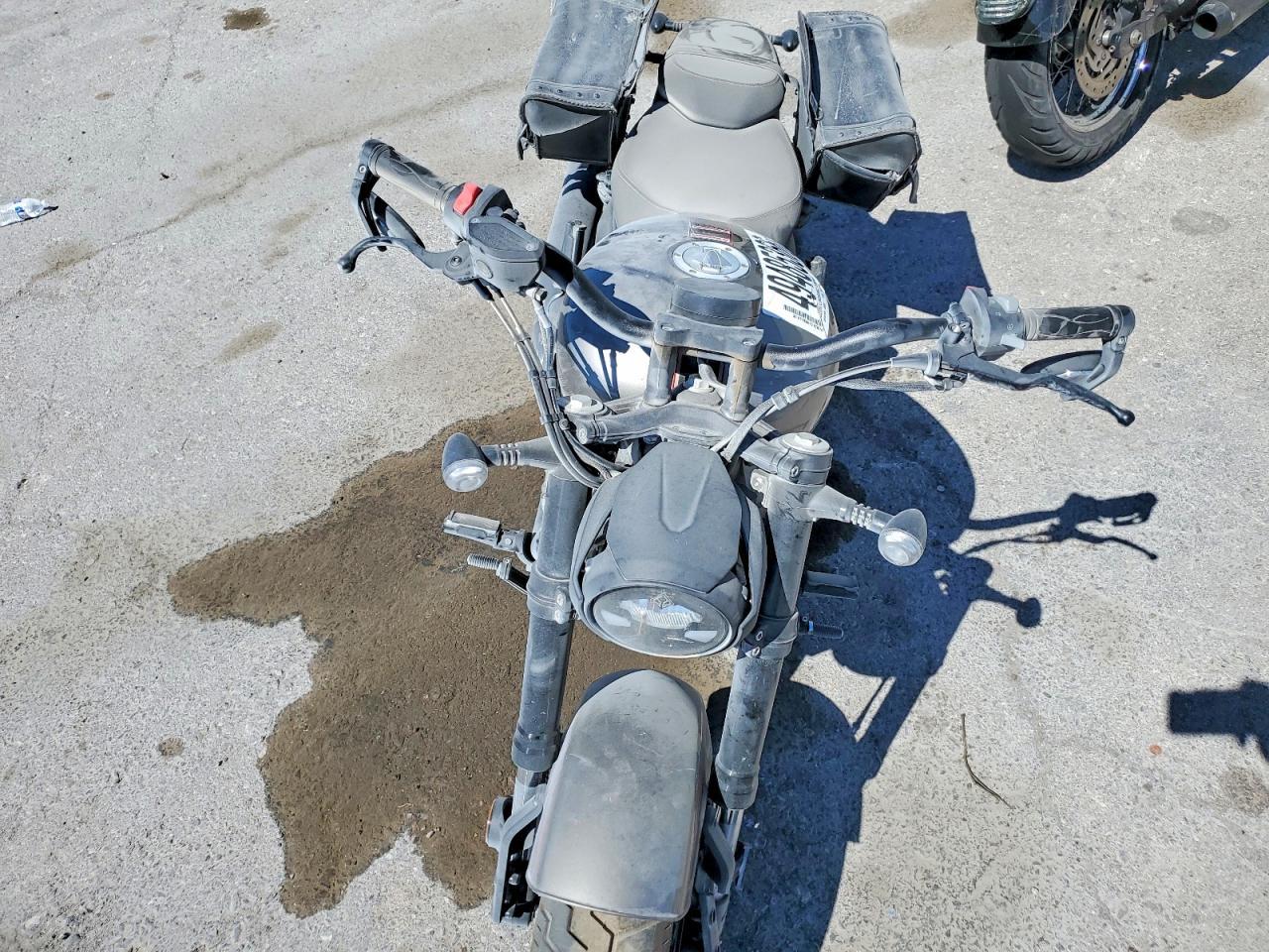 2025 Other Chinchilla