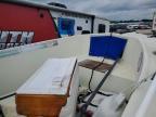 1983 Pro Line Boat Co 17 CC