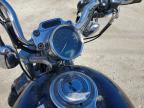 2005 Harley-Davidson XL1200 C