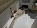2021 Sailfish Boat