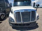 2019 Freightliner Cascadia 125 Semi Truck