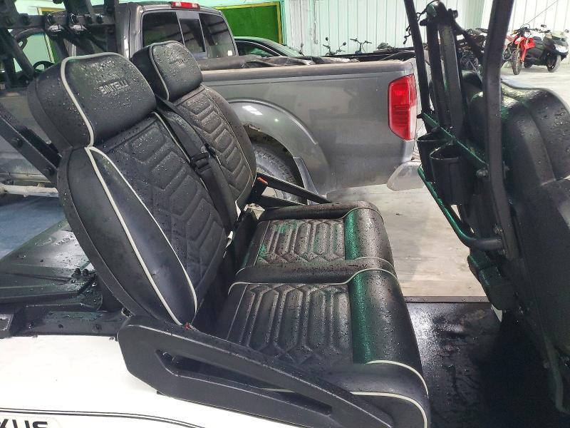 2024 Bintelli Golf Cart