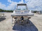 2007 Sea Ray 250 Select EX-Boat