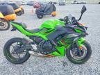 2024 Kawasaki EX650 P