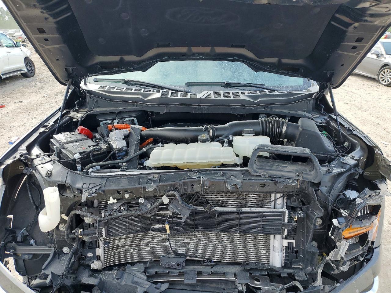 2024 Ford F150 XLT