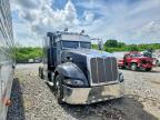 2014 Peterbilt 386-Semi Truck