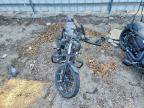 2019 Harley-Davidson XL883 N
