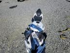 2021 Kawasaki ZX636 K