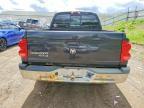 2007 Dodge Dakota Quattro