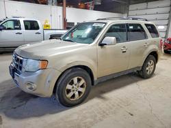 2011 Ford Escape Limited for sale in Blaine, MN