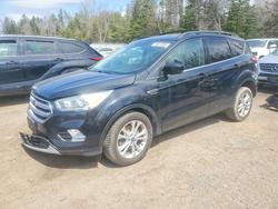 Ford Escape Vehiculos salvage en venta: 2017 Ford Escape