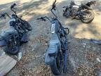 2019 Harley-Davidson XL883 N