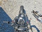 2025 Ducati Monster