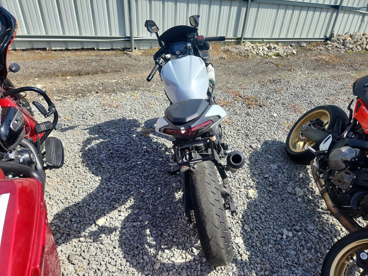2025 Kawasaki EX500 H