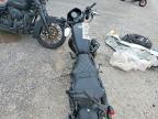 2019 Harley-Davidson XL883 N