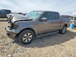 Ford f150 salvage cars for sale: 2010 Ford F150 Supercrew