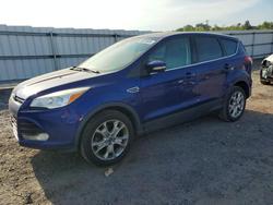 Ford salvage cars for sale: 2013 Ford Escape sel