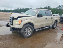 Ford Vehiculos salvage en venta: 2009 Ford F150 Supercrew