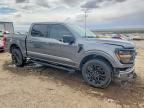 2025 Ford F150 XLT