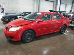 2010 Toyota Corolla le for sale in Ham Lake, MN