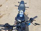 2022 Harley-Davidson XL883 N