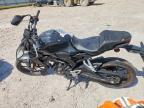 2024 Honda CBF300 NA