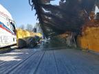 2017 Wabash Reefer Reefer TRL