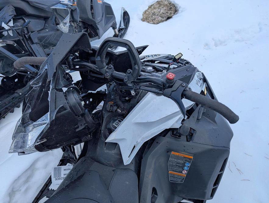 2026 Skidoo Skandic LE 600 EFI RER