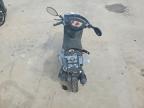 2025 Baodiao Other