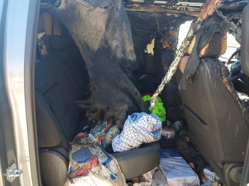 2020 Chevrolet Silverado K1500 LT Trail Boss