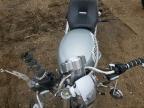 2012 Harley-Davidson Vrscdxa Anniversary